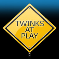 Twinksatplay logo